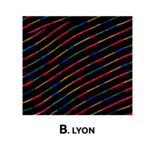 ΚΑΛΥΜΜΑΤΑ ΣΕΤ ΒΕΛΟΥΔΑ 6 ΤΜΧ – B