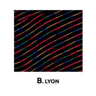 ΚΑΛΥΜΜΑΤΑ ΣΕΤ ΒΕΛΟΥΔΑ 6 ΤΜΧ - B